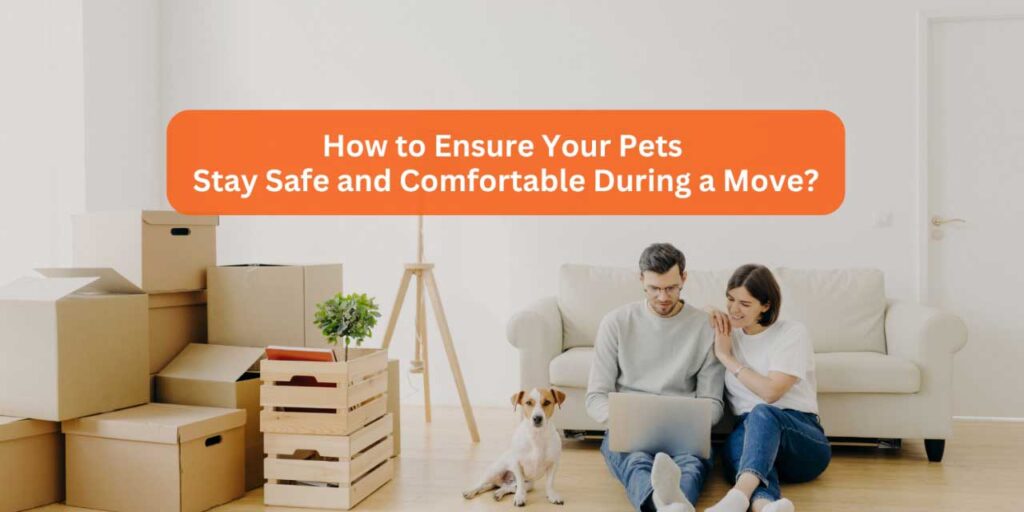 6 Tips to Ensure Your Pets Stay Safe During a Move